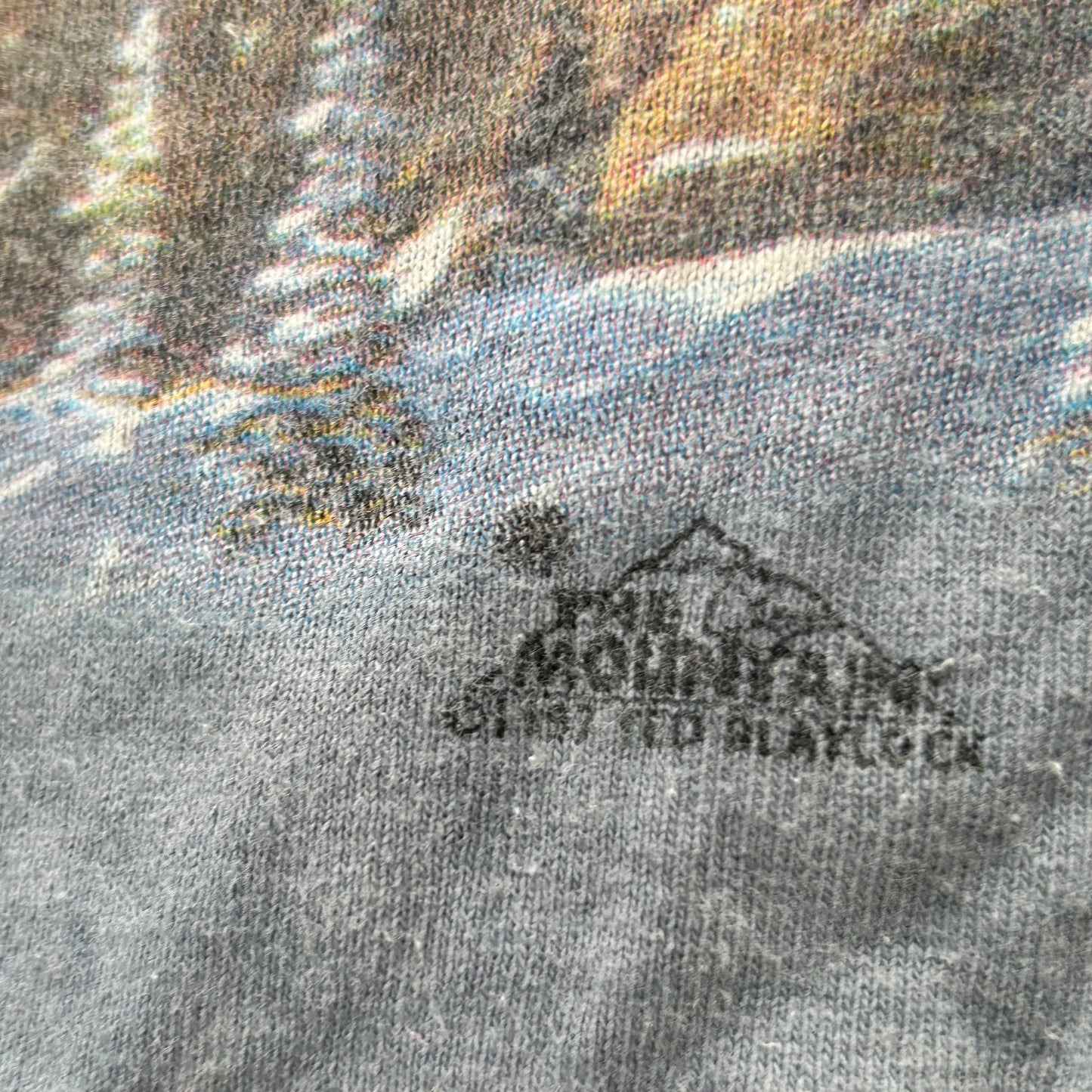 1990s AOP Eagle Tee | The Mountain