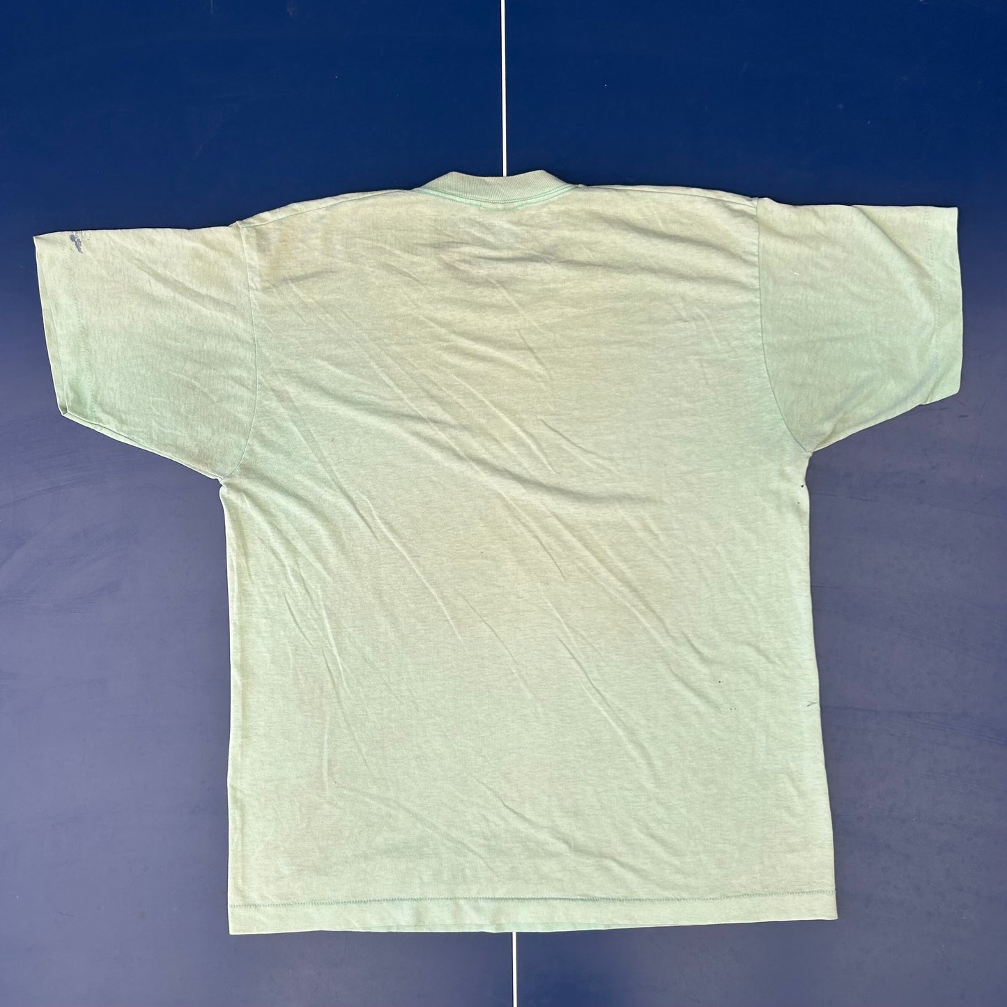 1980s Hummingbird Graphic Tee | Screen Stars US Men’s XL