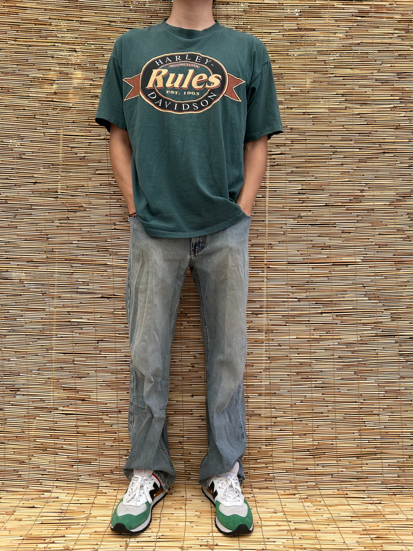 1994 Green Harley Davidson Rules Tee | Holoubek US Men's L